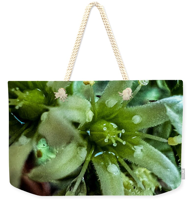 Green bloom - Weekender Tote Bag