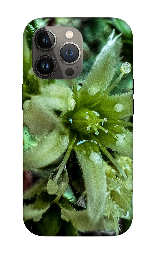 Green bloom - Phone Case
