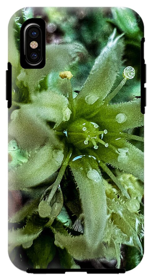 Green bloom - Phone Case
