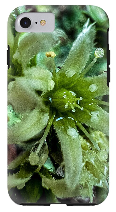 Green bloom - Phone Case
