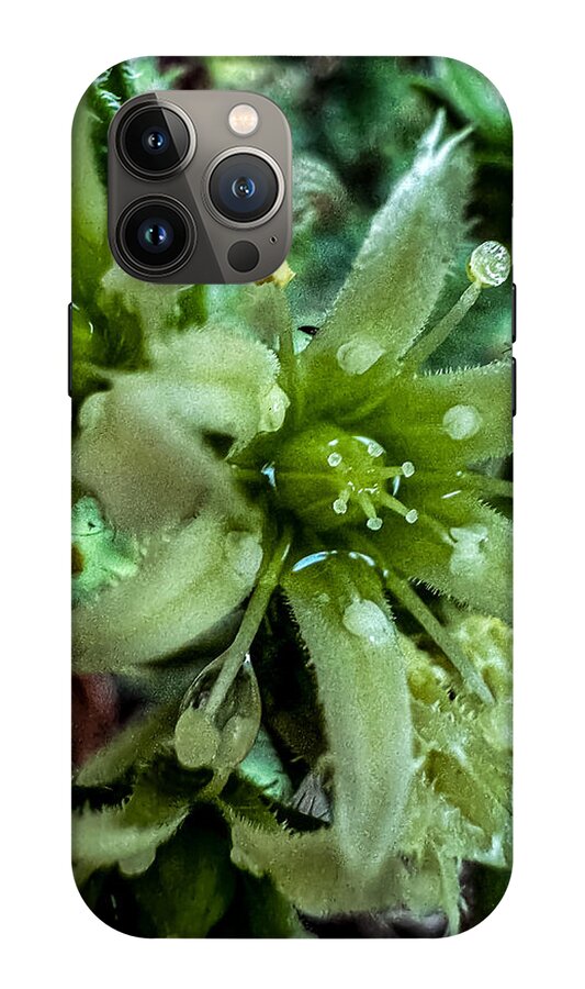 Green bloom - Phone Case