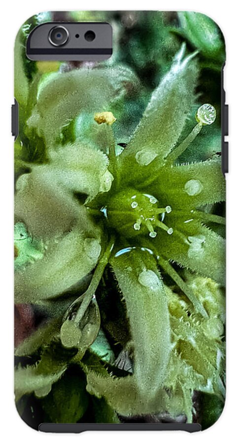 Green bloom - Phone Case