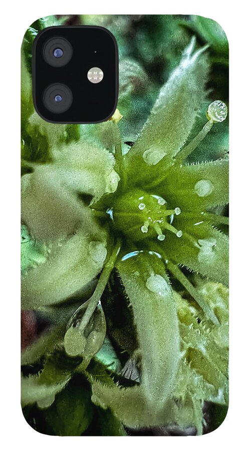Green bloom - Phone Case