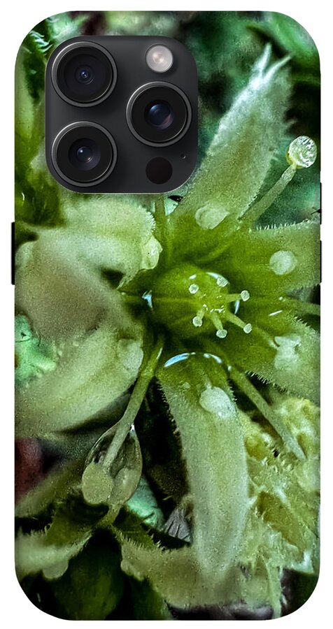 Green bloom - Phone Case