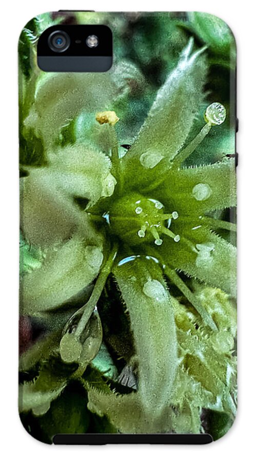Green bloom - Phone Case