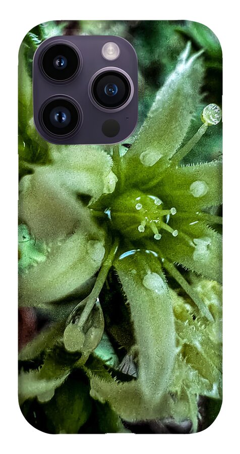 Green bloom - Phone Case