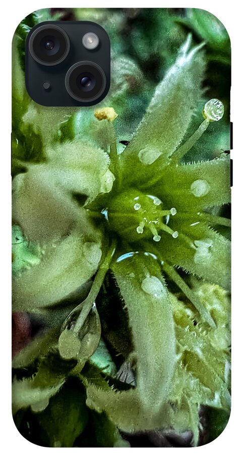 Green bloom - Phone Case