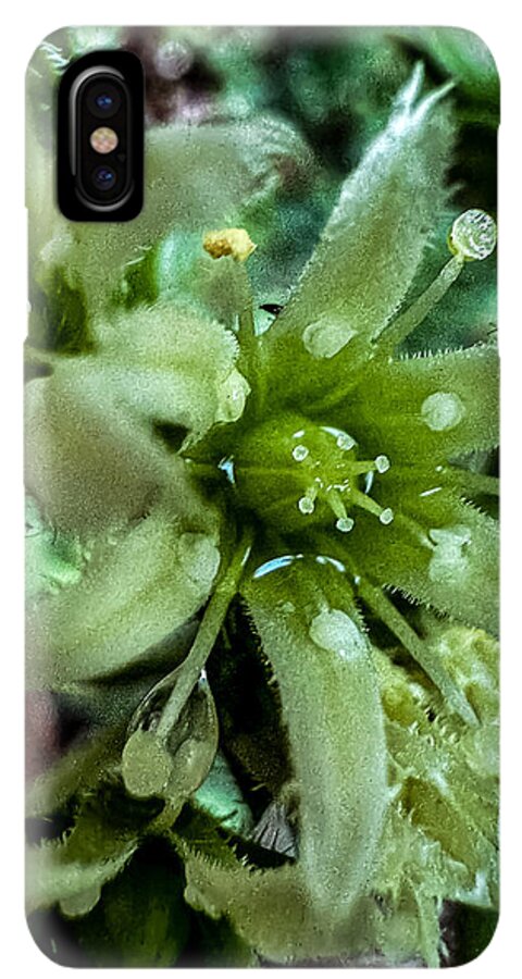 Green bloom - Phone Case