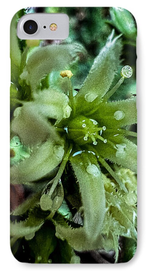 Green bloom - Phone Case