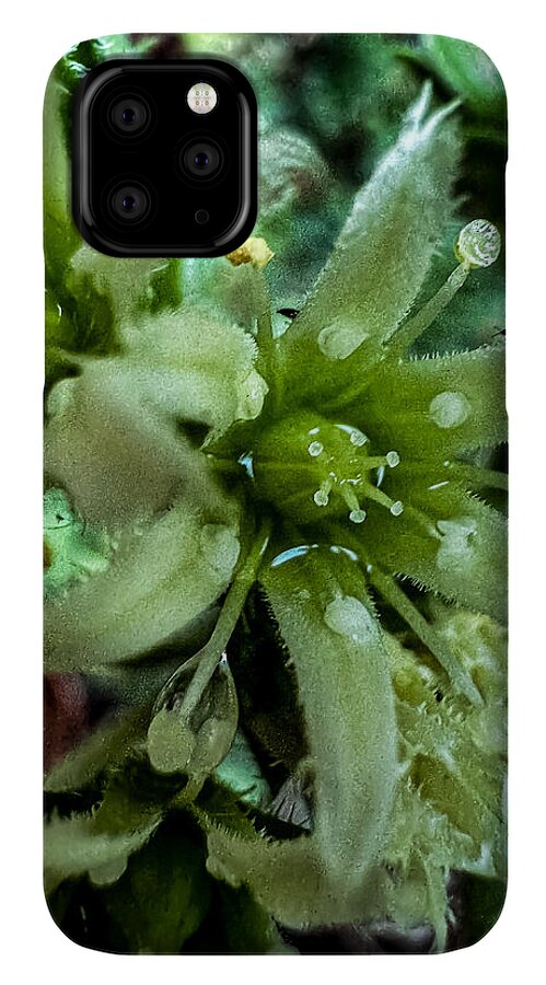 Green bloom - Phone Case