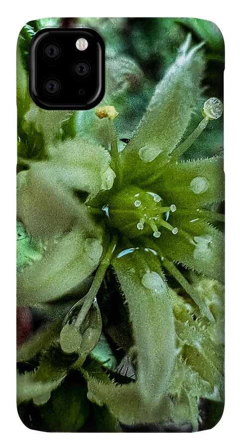 Green bloom - Phone Case