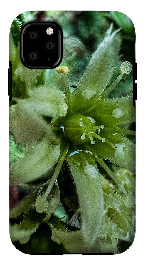 Green bloom - Phone Case