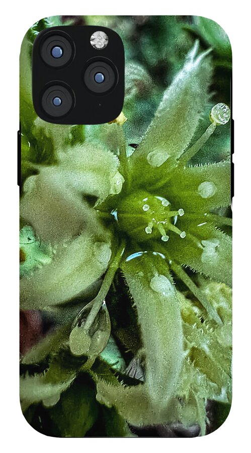 Green bloom - Phone Case