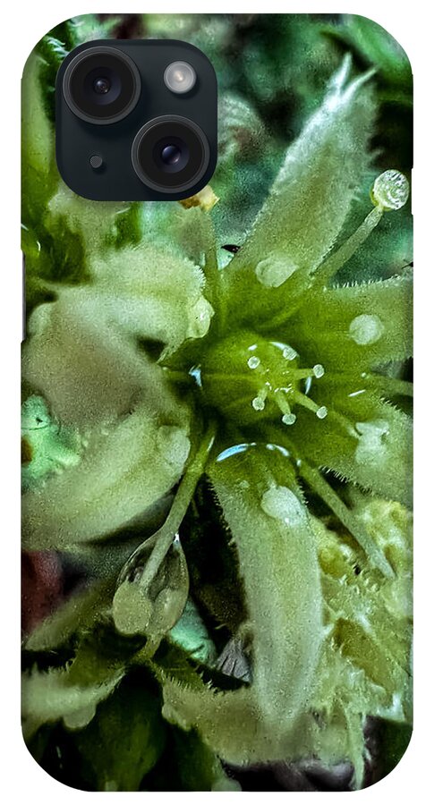 Green bloom - Phone Case