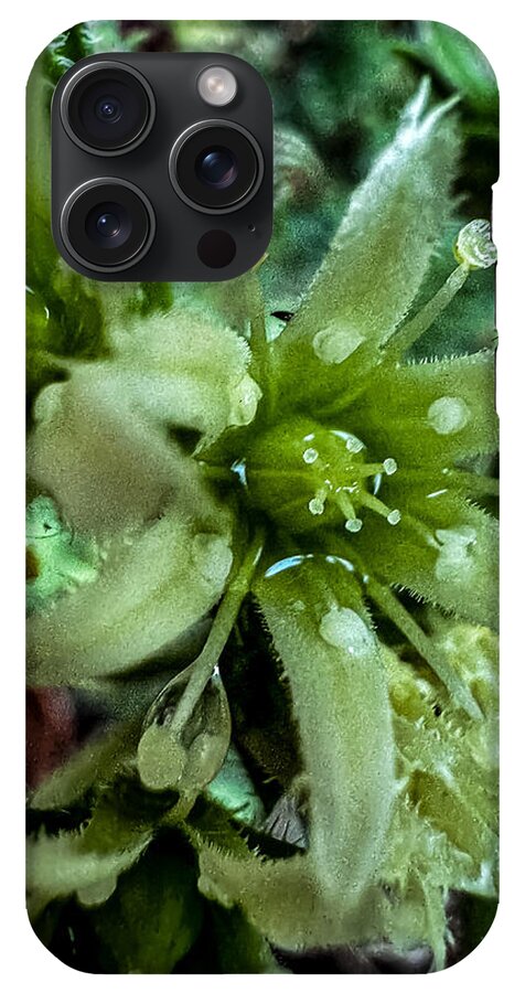 Green bloom - Phone Case