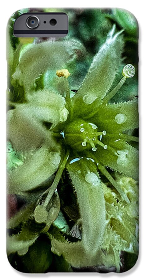 Green bloom - Phone Case