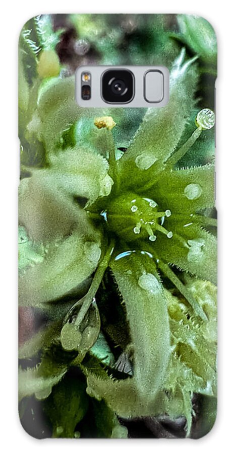 Green bloom - Phone Case