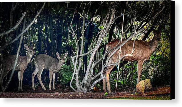 Mom and family  - Canvas Print