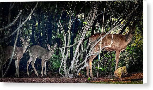 Mom and family  - Canvas Print