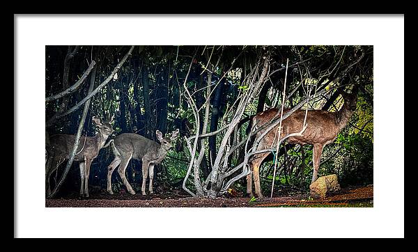 Mom and family  - Framed Print