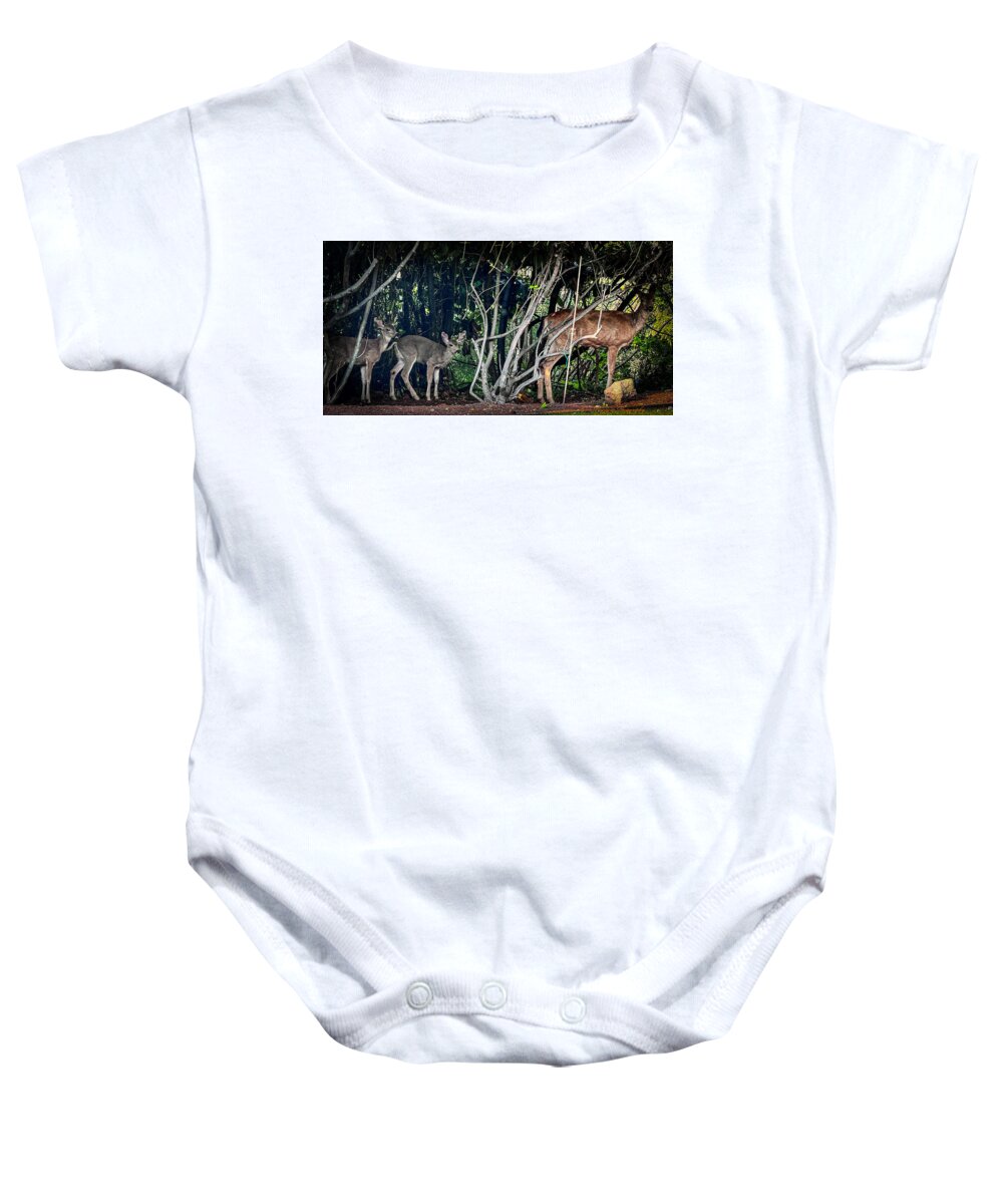 Mom and family  - Baby Onesie