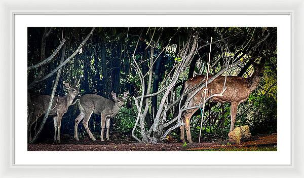 Mom and family  - Framed Print