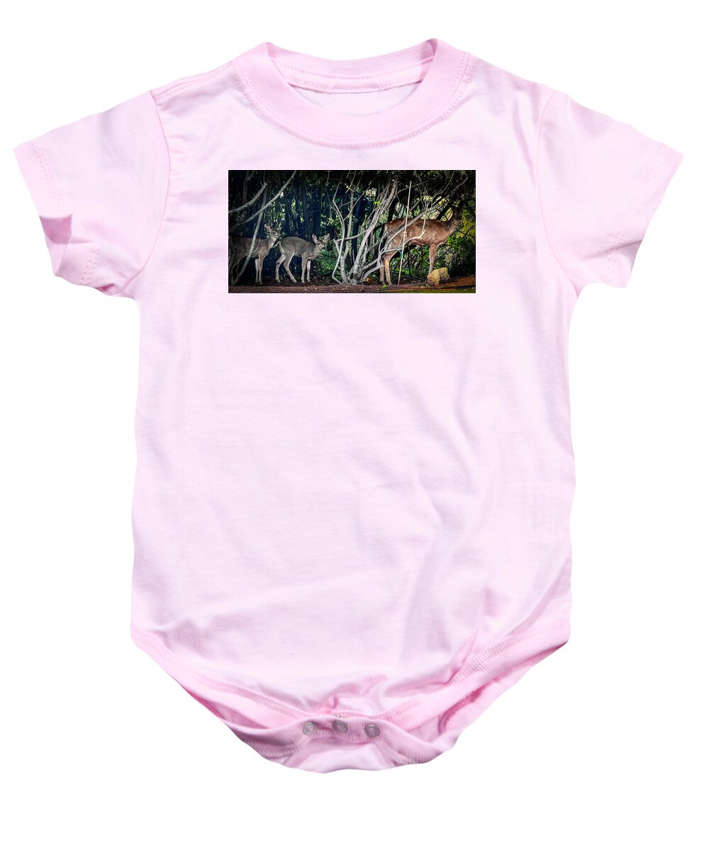 Mom and family  - Baby Onesie
