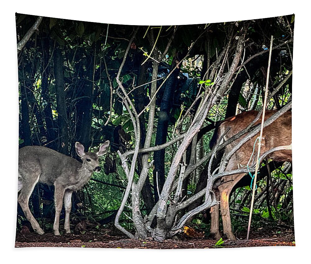 Mom and family  - Tapestry