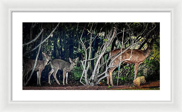 Mom and family  - Framed Print