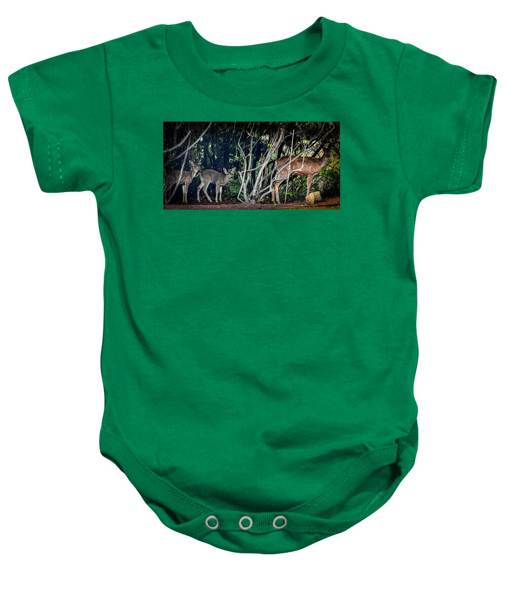 Mom and family  - Baby Onesie