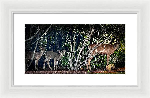Mom and family  - Framed Print