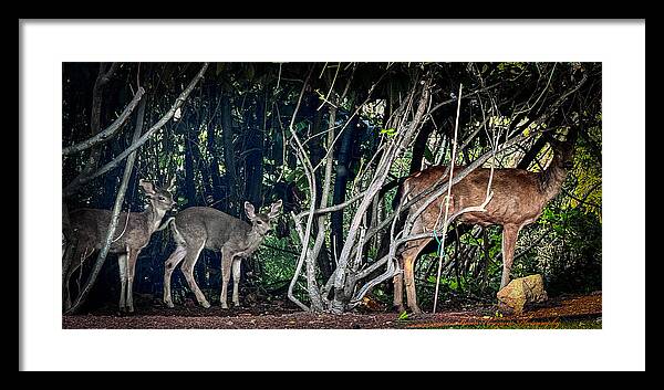 Mom and family  - Framed Print