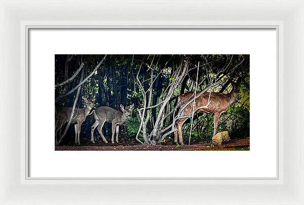 Mom and family  - Framed Print
