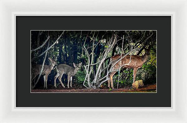 Mom and family  - Framed Print