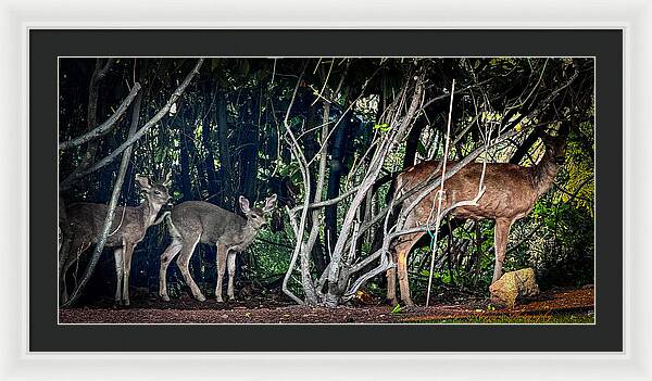 Mom and family  - Framed Print