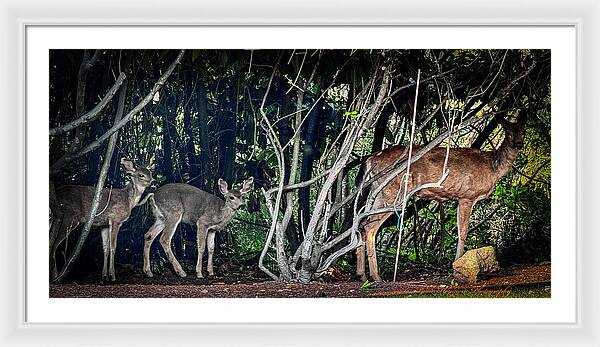 Mom and family  - Framed Print