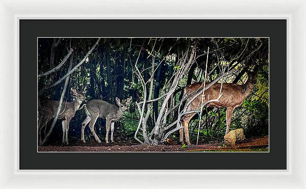 Mom and family  - Framed Print