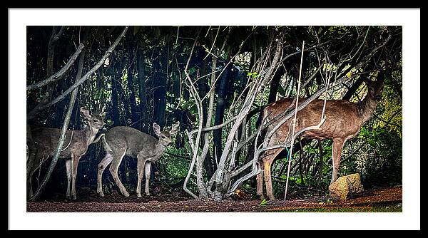 Mom and family  - Framed Print