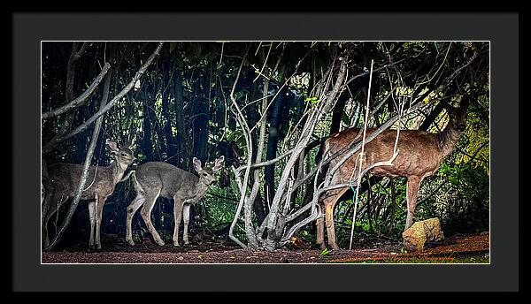 Mom and family  - Framed Print