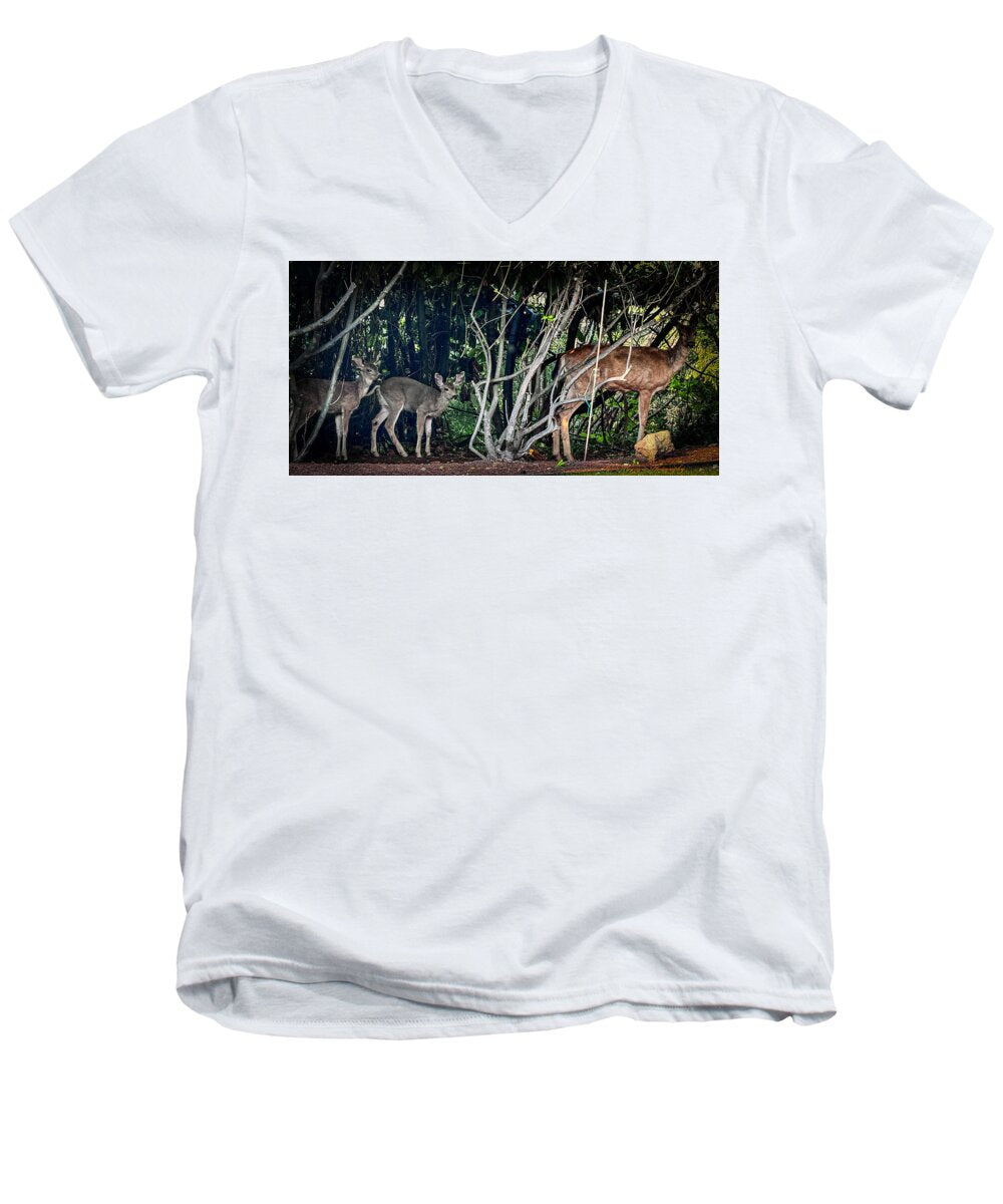 Mom and family  - Men's V-Neck T-Shirt