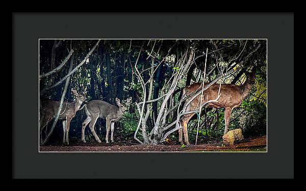 Mom and family  - Framed Print