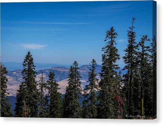 Mt Shasta 3 - Canvas Print