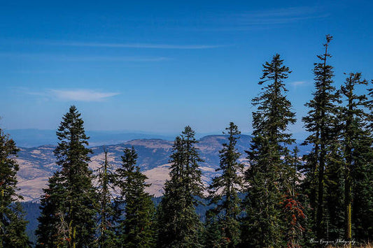 Mt Shasta 3 - Art Print