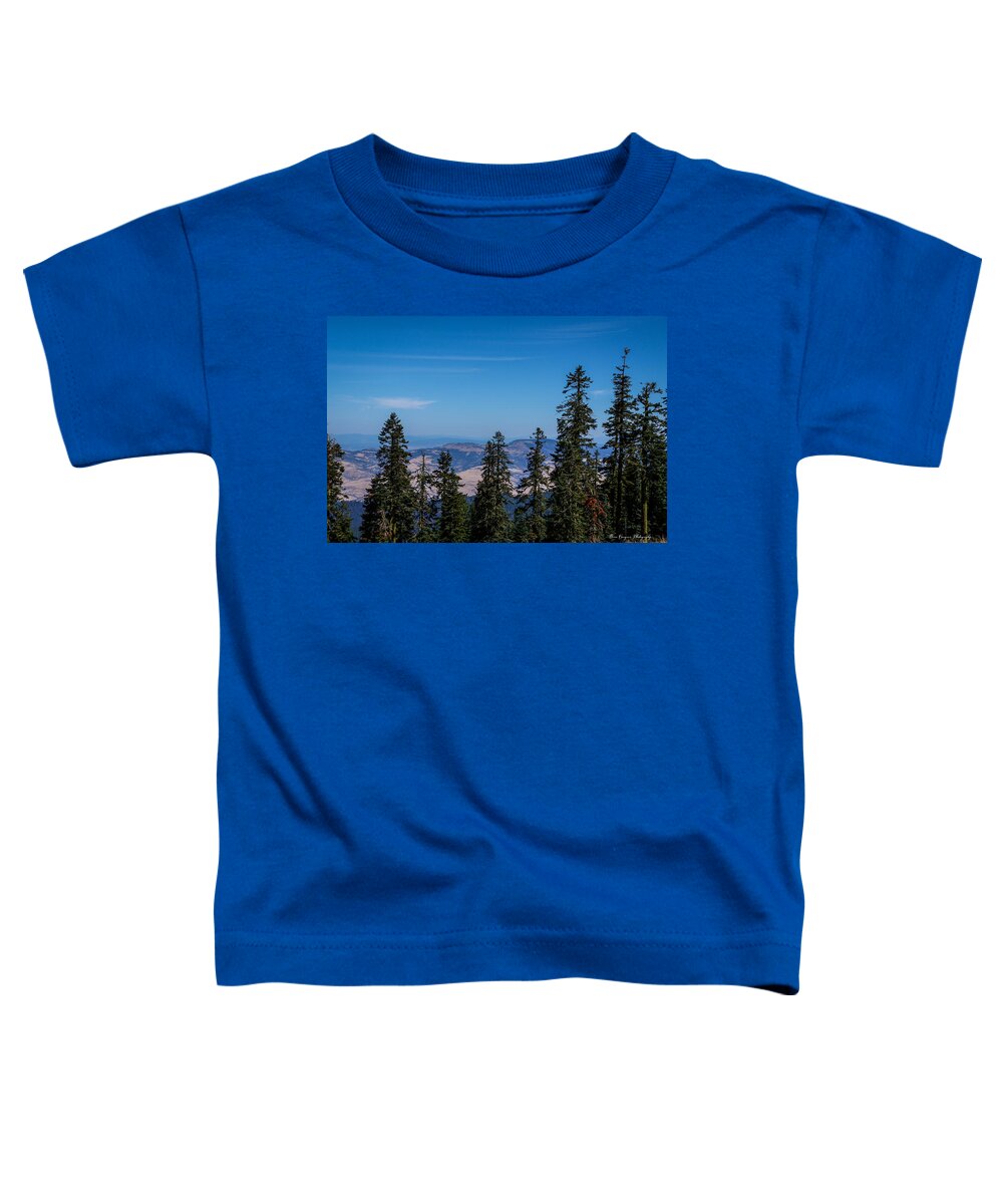 Mt Shasta 3 - Toddler T-Shirt
