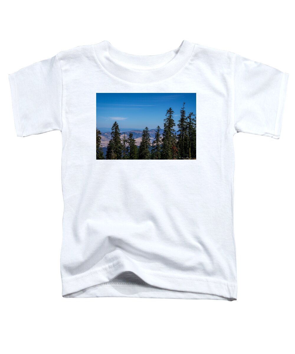 Mt Shasta 3 - Toddler T-Shirt