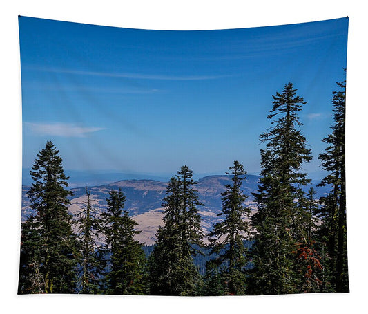 Mt Shasta 3 - Tapestry
