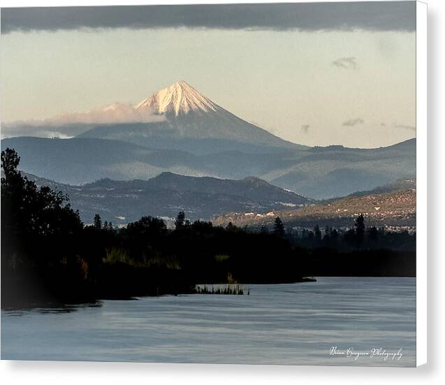 Mt Shasta  - Canvas Print