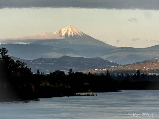Mt Shasta  - Art Print