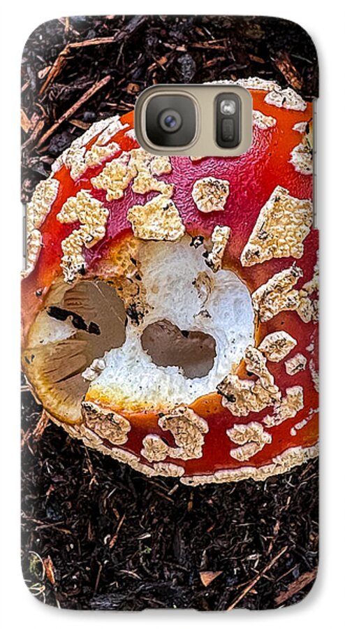 Mushroom 2 - Phone Case