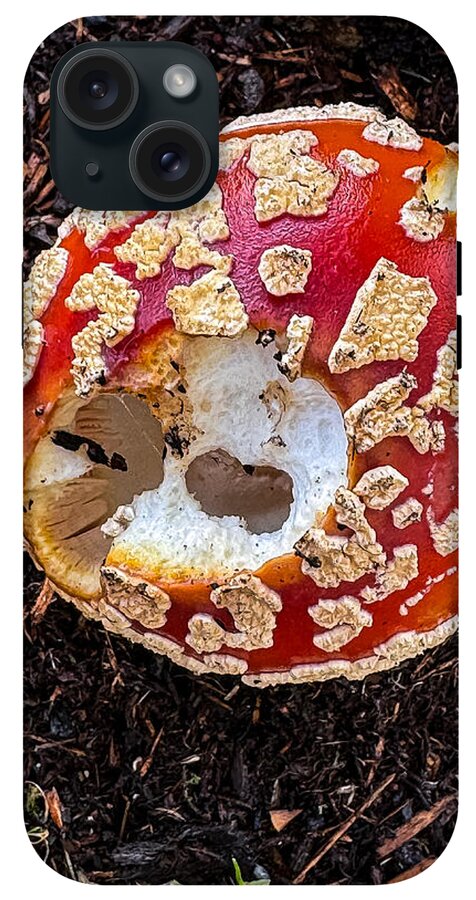 Mushroom 2 - Phone Case